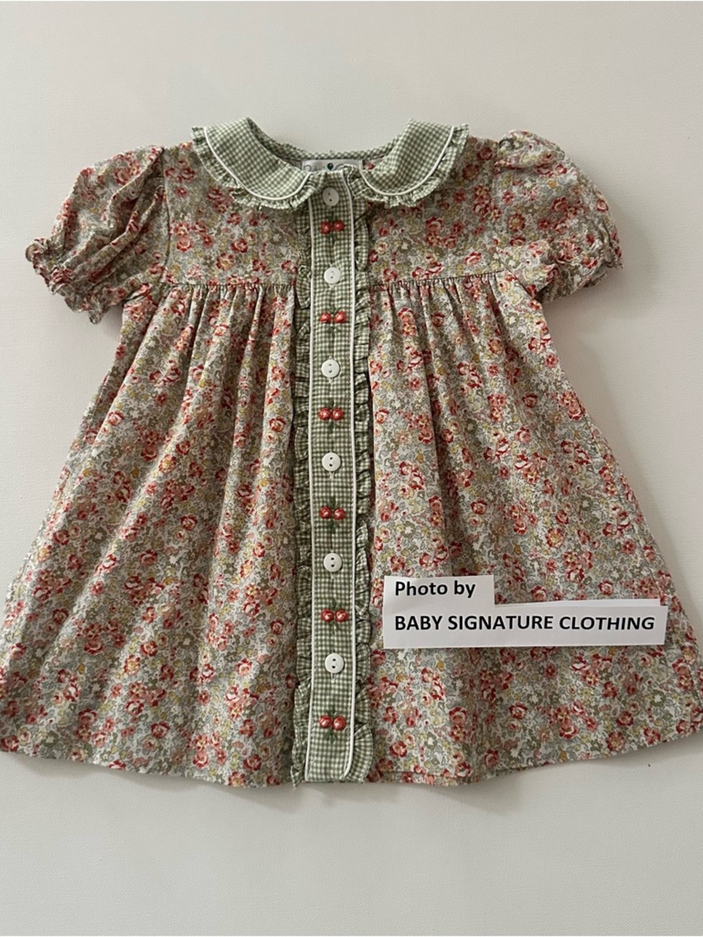 Petit Ami 6 Months Baby Girl Floral Collared Dress Green Pink